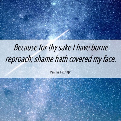 Picture 06 - Psalms 69:7 KJV - Because for thy sake I have borne reproach; shame - Bible Verse Picture