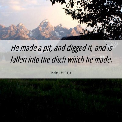 Picture 06 - Psalms 7:15 KJV - He made a pit, and digged it, and is fallen into - Bible Verse Picture