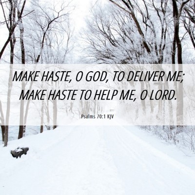 Picture 06 - Psalms 70:1 KJV - MAKE HASTE, O GOD, TO DELIVER ME; MAKE HASTE TO - Bible Verse Picture
