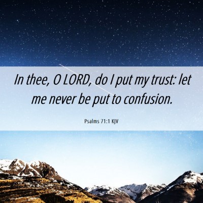 Picture 06 - Psalms 71:1 KJV - In thee, O LORD, do I put my trust: let me never - Bible Verse Picture