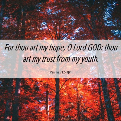 Picture 06 - Psalms 71:5 KJV - For thou art my hope, O Lord GOD: thou art my - Bible Verse Picture