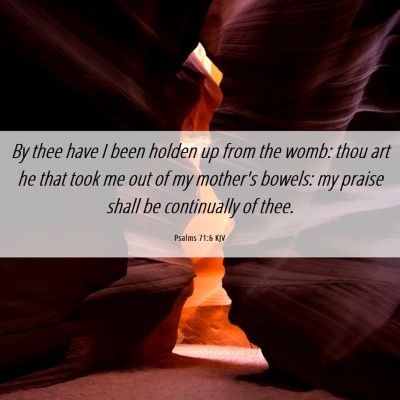 Picture 06 - Psalms 71:6 KJV - By thee have I been holden up from the womb: thou - Bible Verse Picture