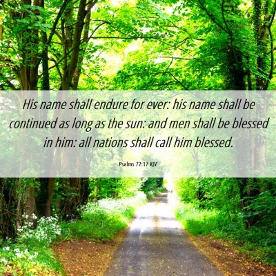 Picture 06 - Psalms 72:17 KJV - His name shall endure for ever: his name shall be - Bible Verse Picture