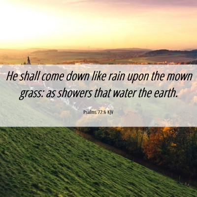 Picture 06 - Psalms 72:6 KJV - He shall come down like rain upon the mown grass: - Bible Verse Picture