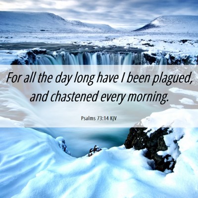 Picture 06 - Psalms 73:14 KJV - For all the day long have I been plagued, and - Bible Verse Picture