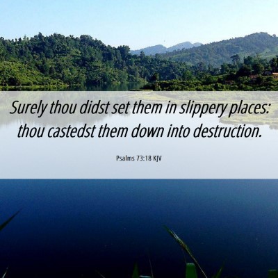 Picture 06 - Psalms 73:18 KJV - Surely thou didst set them in slippery places: - Bible Verse Picture