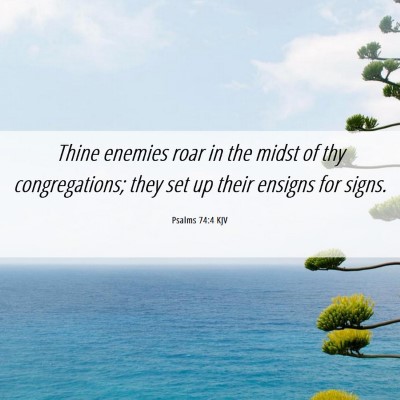 Picture 06 - Psalms 74:4 KJV - Thine enemies roar in the midst of thy - Bible Verse Picture