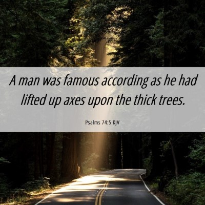 Picture 06 - Psalms 74:5 KJV - A man was famous according as he had lifted up - Bible Verse Picture