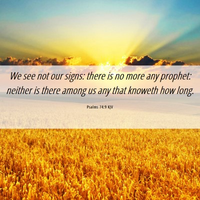 Picture 06 - Psalms 74:9 KJV - We see not our signs: there is no more any - Bible Verse Picture