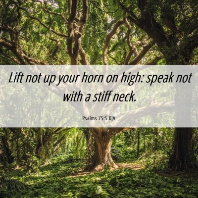 Picture 06 - Psalms 75:5 KJV - Lift not up your horn on high: speak not with a - Bible Verse Picture