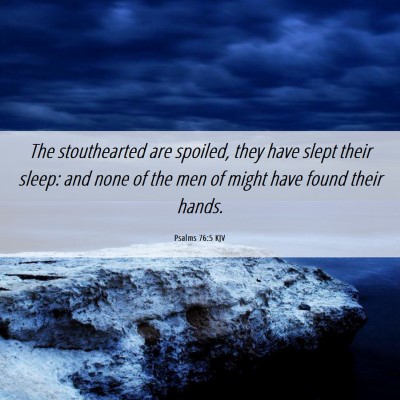 Picture 06 - Psalms 76:5 KJV - The stouthearted are spoiled, they have slept - Bible Verse Picture