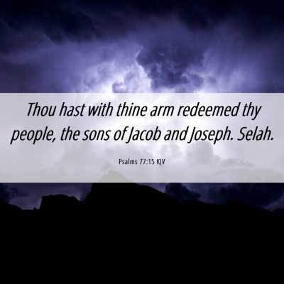Picture 06 - Psalms 77:15 KJV - Thou hast with thine arm redeemed thy people, the - Bible Verse Picture