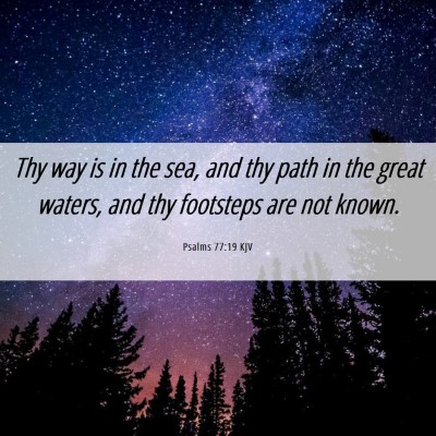 Picture 06 - Psalms 77:19 KJV - Thy way is in the sea, and thy path in the great - Bible Verse Picture