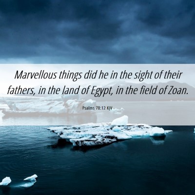 Picture 06 - Psalms 78:12 KJV - Marvellous things did he in the sight of their - Bible Verse Picture