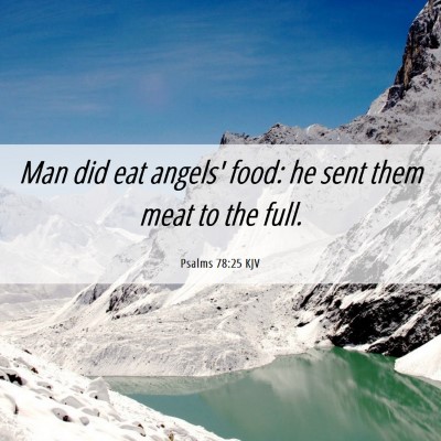 Picture 06 - Psalms 78:25 KJV - Man did eat angels' food: he sent them meat to - Bible Verse Picture