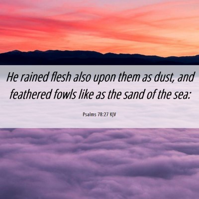 Picture 06 - Psalms 78:27 KJV - He rained flesh also upon them as dust, and - Bible Verse Picture