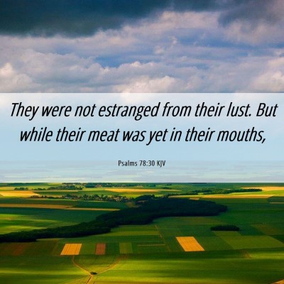 Picture 06 - Psalms 78:30 KJV - They were not estranged from their lust. But - Bible Verse Picture