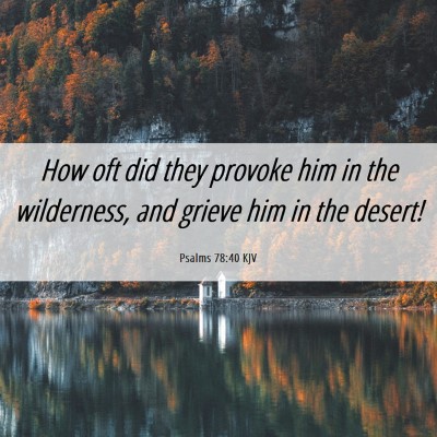 Picture 06 - Psalms 78:40 KJV - How oft did they provoke him in the wilderness, - Bible Verse Picture