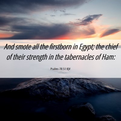 Picture 06 - Psalms 78:51 KJV - And smote all the firstborn in Egypt; the chief - Bible Verse Picture
