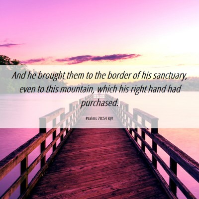 Picture 06 - Psalms 78:54 KJV - And he brought them to the border of his - Bible Verse Picture