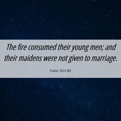 Picture 06 - Psalms 78:63 KJV - The fire consumed their young men; and their - Bible Verse Picture