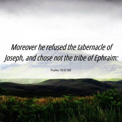 Picture 06 - Psalms 78:67 KJV - Moreover he refused the tabernacle of Joseph, and - Bible Verse Picture