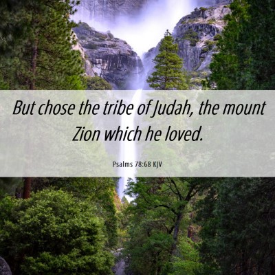 Picture 06 - Psalms 78:68 KJV - But chose the tribe of Judah, the mount Zion - Bible Verse Picture