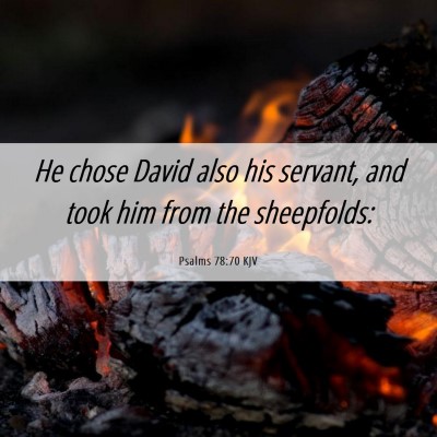 Picture 06 - Psalms 78:70 KJV - He chose David also his servant, and took him - Bible Verse Picture