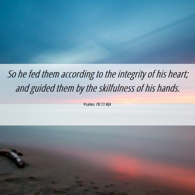 Picture 06 - Psalms 78:72 KJV - So he fed them according to the integrity of his - Bible Verse Picture