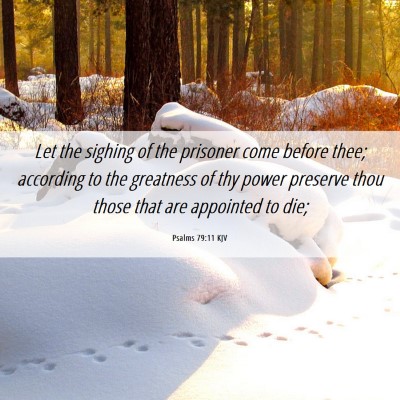 Picture 06 - Psalms 79:11 KJV - Let the sighing of the prisoner come before thee; - Bible Verse Picture