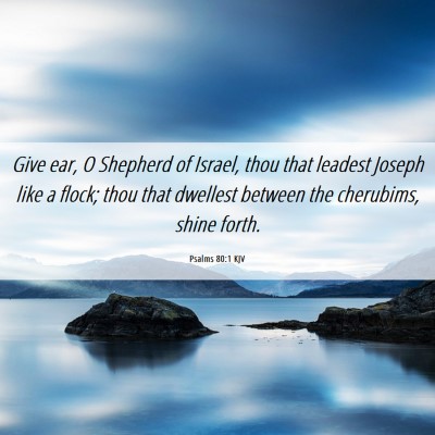 Picture 06 - Psalms 80:1 KJV - Give ear, O Shepherd of Israel, thou that leadest - Bible Verse Picture