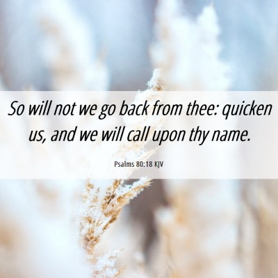 Picture 06 - Psalms 80:18 KJV - So will not we go back from thee: quicken us, and - Bible Verse Picture