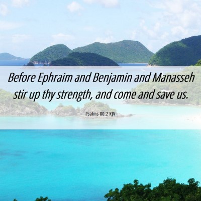 Picture 06 - Psalms 80:2 KJV - Before Ephraim and Benjamin and Manasseh stir up - Bible Verse Picture