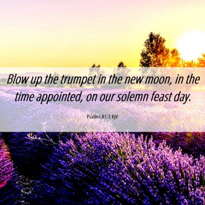 Picture 06 - Psalms 81:3 KJV - Blow up the trumpet in the new moon, in the time - Bible Verse Picture