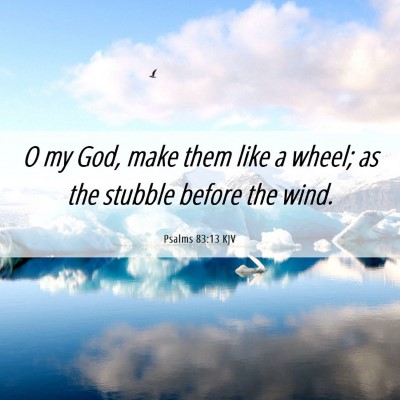 Picture 06 - Psalms 83:13 KJV - O my God, make them like a wheel; as the stubble - Bible Verse Picture