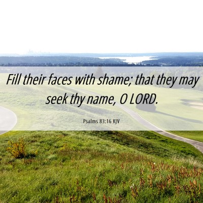 Picture 06 - Psalms 83:16 KJV - Fill their faces with shame; that they may seek - Bible Verse Picture