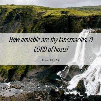 Picture 06 - Psalms 84:1 KJV - How amiable are thy tabernacles, O LORD of - Bible Verse Picture