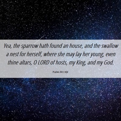 Picture 06 - Psalms 84:3 KJV - Yea, the sparrow hath found an house, and the - Bible Verse Picture