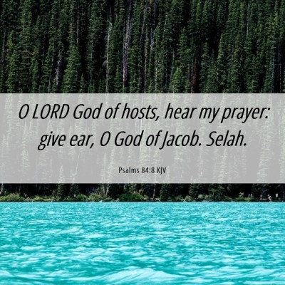 Picture 06 - Psalms 84:8 KJV - O LORD God of hosts, hear my prayer: give ear, O - Bible Verse Picture