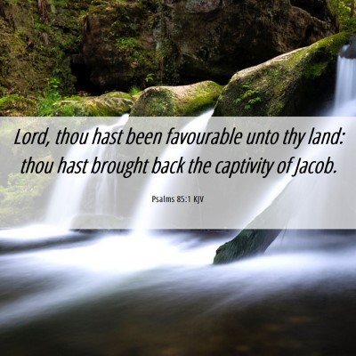 Picture 06 - Psalms 85:1 KJV - Lord, thou hast been favourable unto thy land: - Bible Verse Picture