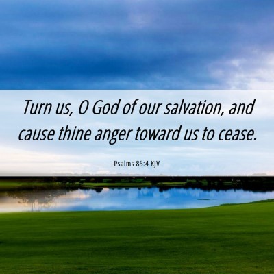 Picture 06 - Psalms 85:4 KJV - Turn us, O God of our salvation, and cause thine - Bible Verse Picture