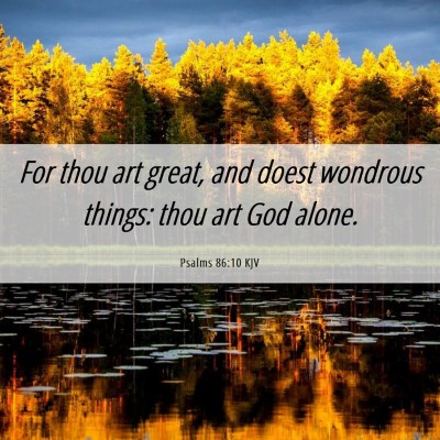 Picture 06 - Psalms 86:10 KJV - For thou art great, and doest wondrous things: - Bible Verse Picture