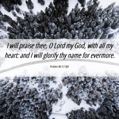 Picture 06 - Psalms 86:12 KJV - I will praise thee, O Lord my God, with all my - Bible Verse Picture