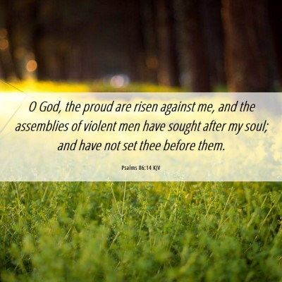 Picture 06 - Psalms 86:14 KJV - O God, the proud are risen against me, and the - Bible Verse Picture