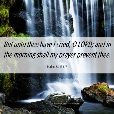 Picture 06 - Psalms 88:13 KJV - But unto thee have I cried, O LORD; and in the - Bible Verse Picture