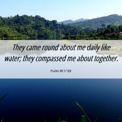 Picture 06 - Psalms 88:17 KJV - They came round about me daily like water; they - Bible Verse Picture