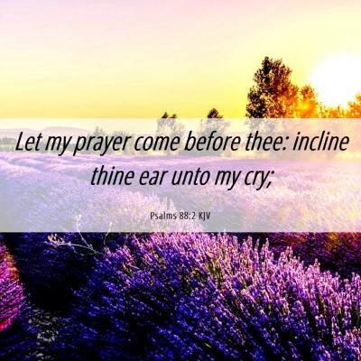 Picture 06 - Psalms 88:2 KJV - Let my prayer come before thee: incline thine ear - Bible Verse Picture