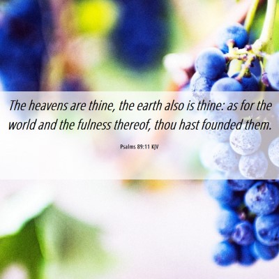 Picture 06 - Psalms 89:11 KJV - The heavens are thine, the earth also is thine: - Bible Verse Picture