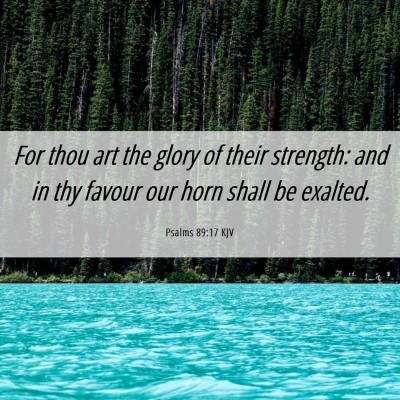 Picture 06 - Psalms 89:17 KJV - For thou art the glory of their strength: and in - Bible Verse Picture