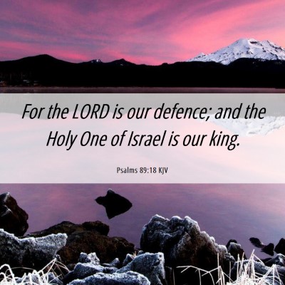 Picture 06 - Psalms 89:18 KJV - For the LORD is our defence; and the Holy One of - Bible Verse Picture